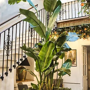 Casa de Campo Casa Levante, Arcos de la Frontera